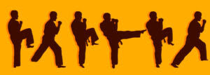 Practicing Business Agility with the Agile Kata