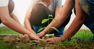Sustainability in Focus: Insights from Three Agile Experts