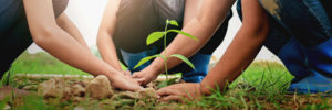 Announcing the Agile Sustainability Initiative