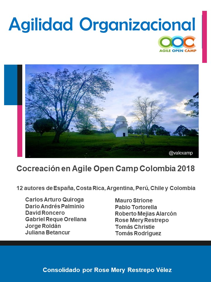 Agilidad Organizacional